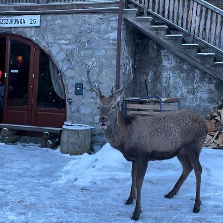 Schody Do Nieba Leilighet Zakopane Eksteriør bilde